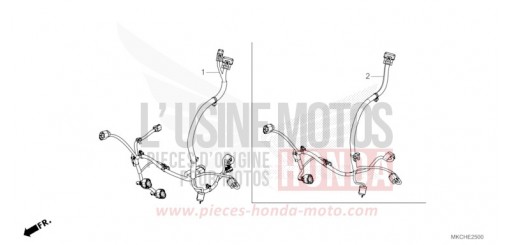 CORDON AUXILIAIRE GL1800M de 2021